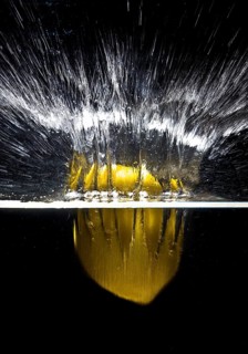 A fresh yellow lemon (Citrus limonum) falls into the water, creating a splash and air bubbles,