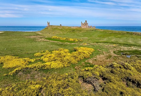 Aerial photo of Dunstanburgh Castle at the north sea coast in Northumberland, England, UK