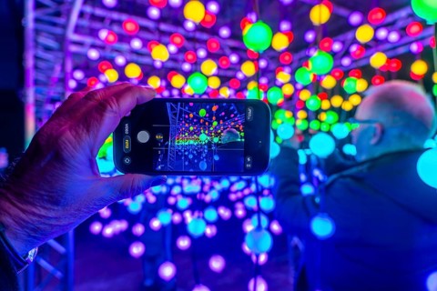 Park lights, winter event, in the Grugapark in Essen, many different light installations, across
