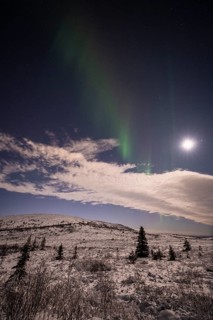 Northern Lights (Aurora borealis) and moonlight, Dundret Nature Reserve, Norrbotten, Lapland,