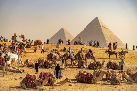 Camels and tourists in the desert near the Giza pyramids, Egypt