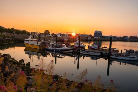 Peaceful harbor scene at sunset with multiple boats and warm colors, Howth, Ireland