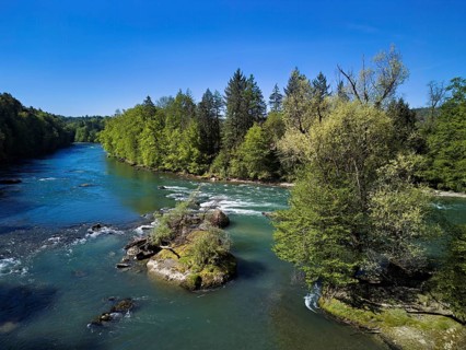 Small island in the Reuss river, Niederwil, Gnadental, Bremgarten district, Aargau canton,