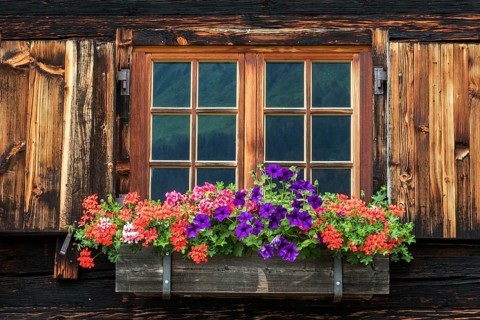 Old windows with floral decorations on the wooden façade of Alpe Hinterenge, near Oberstdorf,