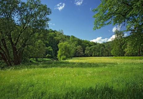Germany, Greiz, Greizer Park, Hammerwiesen, Thuringia, Auwiese, Elstertal, Feuchtwiese, autumn,