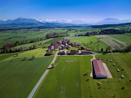View of the hamlet of Alikon, with the Alps with the Rigi and Pilatus in the back, Sins, Freiamt,