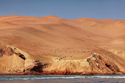 Sand dunes on a rocky coast with calm sea and clear blue sky, the rocky coast with the desert near