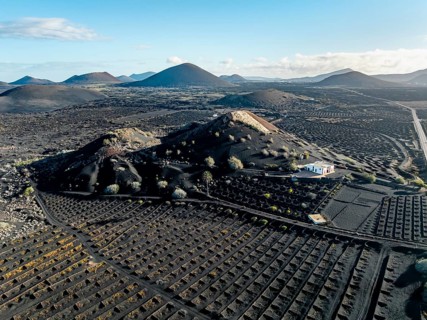 Typical drywall viticulture in volcanic landscape, on volcanic ash, lapilli, aerial view, vines, La