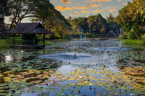 Pond with water lilies, small pagoda and fountain in the evening light, near Lampang, Lampang