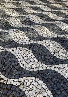 Graphic black and white paving, Calçada Portugesa, traditional limestone and basalt mosaic paving