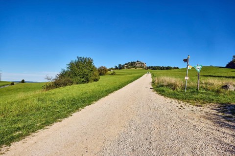 Hohentwiel mountain, Hohentwiel fortress ruins, cinder stone footpath, nature reserve, meadow,