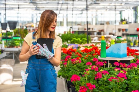 Female professional gardener wearing overalls and gloves working with a digital tablet among