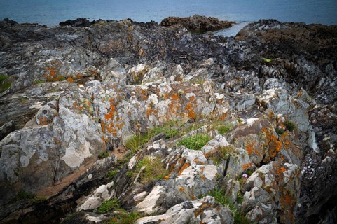 Rocky coast, rocky beach, Pennance Point, Falmouth, Falmouth Bay, Cornwall, England, Great Britain,