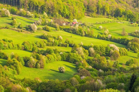 View over the hills with forests and meadows with blooming cherry trees on a sunny day in spring,