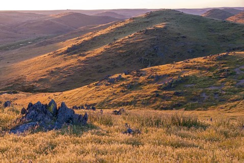 Countries, Dehesa, Extremadura, cultural landscape, landscape, countries, travel, Spain, travels