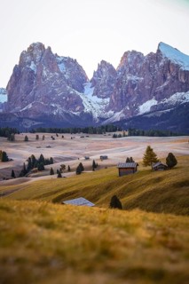 Snowy mountain peaks over golden meadows with isolated huts, view over the autumnal Seiser Alm on