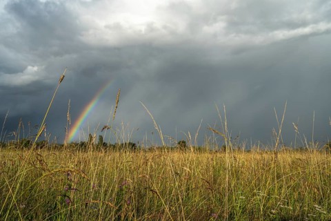 A rainbow appears in the cloudy sky over a field and bears witness to the traces of the recent