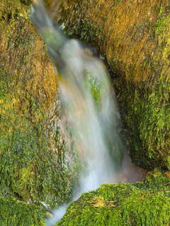 Mossy rocks with stream, Soca, Triglav National Park, Slovenia