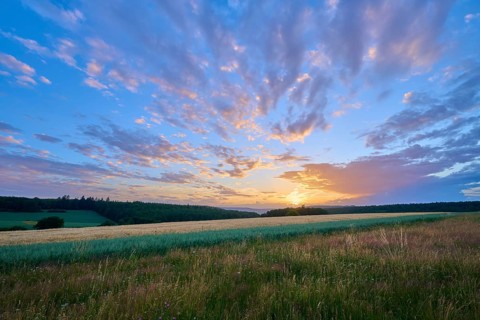 A picturesque sunset spreads over a lush field, the sky is interspersed with warm colors, summer,