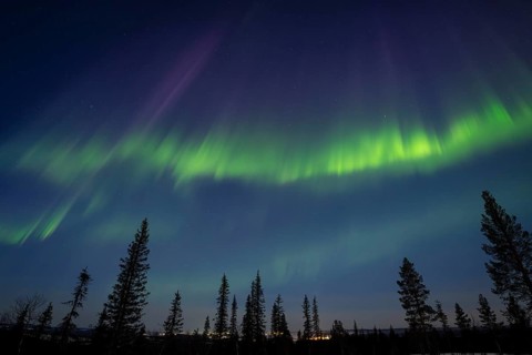 Northern Lights (Aurora borealis), Gällivare, Norrbotten, Lapland, Sweden, April 2025