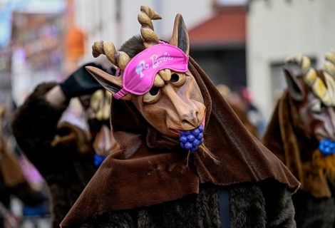 Member of a fools' guild in traditional Haes, fool's clothing, carnival parade, Kappelrodeck,