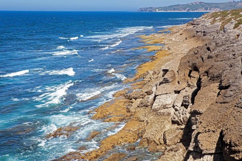 San Vicente cliffs along the coast trail near San Vicente de la Barquera, Santander, Cantabria,