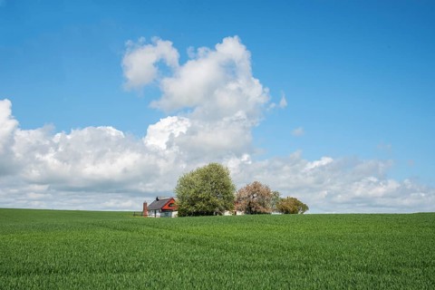 Farm behind field with green crop in spring in Ystad municipality, Skåne county, Sweden,