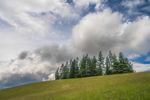 Patchwork of cloudy skies and green spaces unfolds. Trees stand on hills in an open space. The time