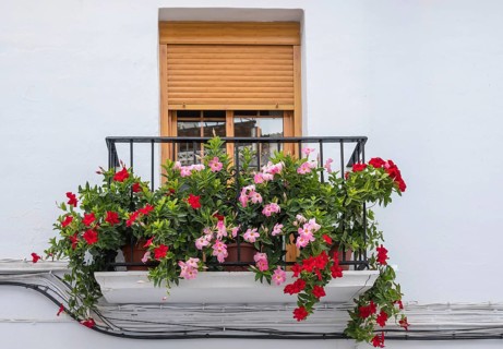 Small balcony with lush floral decoration, Frigiliana, Malaga Province, Andalucia, Spain