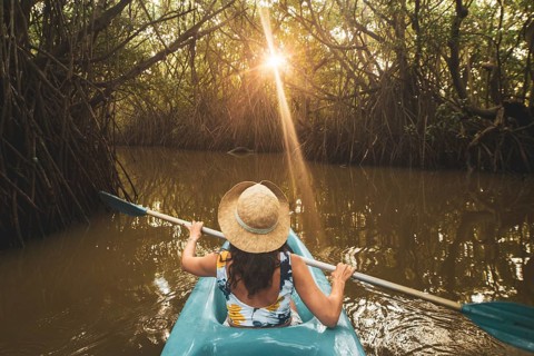 Woman sit in kayak POV row in mangrove on sunrise do active sports outdoors on holiday destination