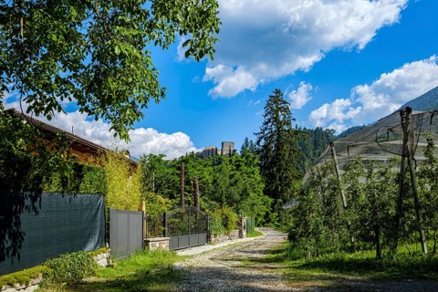 Fruit growing in Meran in South Tyrol, Italy