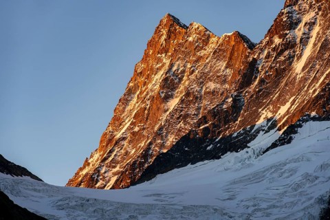 Impressive high-alpine landscape, Finsteraarhorn mountain summit with alpine glow at sunrise, Upper