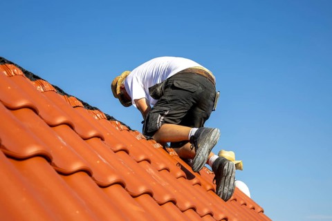 Carpenter or roofer covering a tiled roof in the Palatinate. The temperatures rise to over 35
