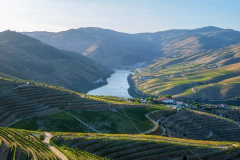 Douro river vineyard valley at sunrise in Portugal, with terraced slopes, winding roads, village