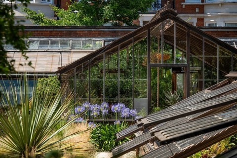 Historic greenhouses, Chelsea Physic Garden, historic botanical garden, oldest botanical garden in