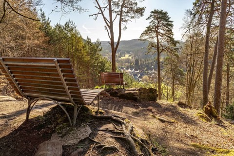 Rest area with bench in the Palatinate Forest near Hinterweidenthal, Rhineland-Palatinate, Germany