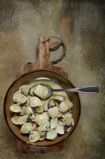 Vongole clams, in cream sauce, homemade, top view, no people