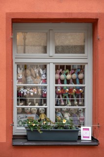 Shop window with stuffed animals, Nuremberg, Middle Franconia, Bavaria, Germany