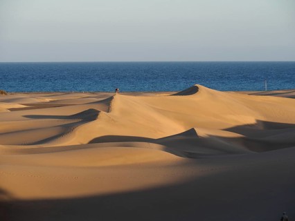 Soft sand dunes in golden evening light on the ocean horizon, Maspalomas Dunes, Gran Canaria, Spain