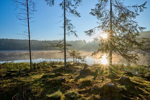 At dawn, sunbeams break through the trees on the shores of a quiet lake, Windgfällweiher,