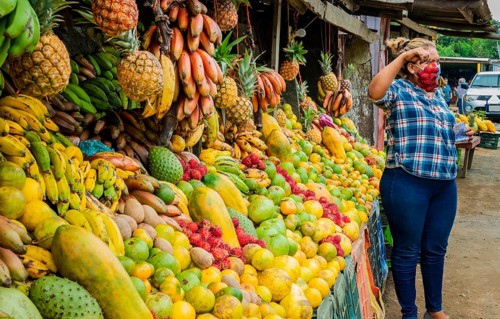 Woman selling fresh fruits, fresh fruit stall, fruit and healthy food concept, selling various