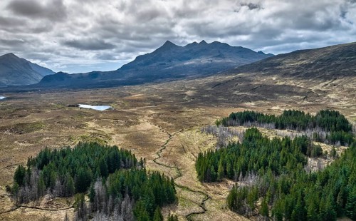 Aerial photo of a Higland landscape with partly dead fir forest on the Isle of Skye, inner