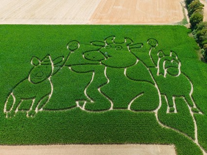 The Maisgeister maize maze near Weißkirchen, close to Frankfurt am Main, will feature ‘Lieselotte'