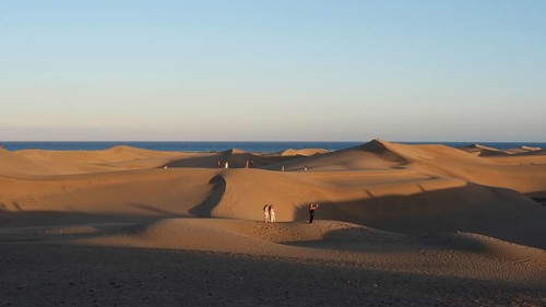 Shadows of a sunset cover the dune landscape with people in front of the vast sea, dunes of