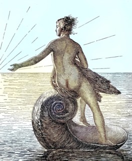 In this specific depiction, Venus is seen naked riding across the open sea on a large winding