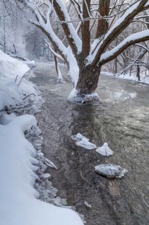 Germany, Greiz, Mildenfurth, Thuringia, Weidatal, Wünschendorf, ice, flowing water, river, high