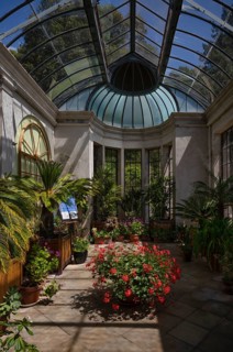 Interior view of greenhouse, Trelissick House and Gardens, Feock, Cornwall, England, Great Britain,