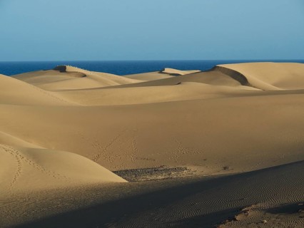 Curving sand dunes with sea in the background under blue sky, Maspalomas Dunes, Gran Canaria, Spain