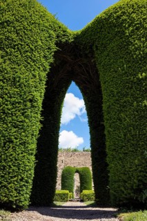 Distinctive, massive arches of artfully trimmed yew hedges in the castle garden of the Château