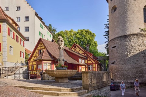 Stone fountain, sculpture of a bear, round tower, historic buildings, general architecture,
